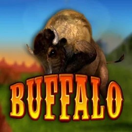 Buffalo Bingo logo by MGA Games Oranje Palace Casino